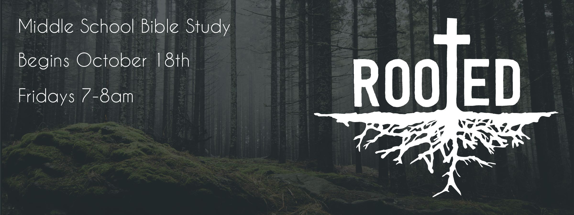 Rooted Web Cover-01.png